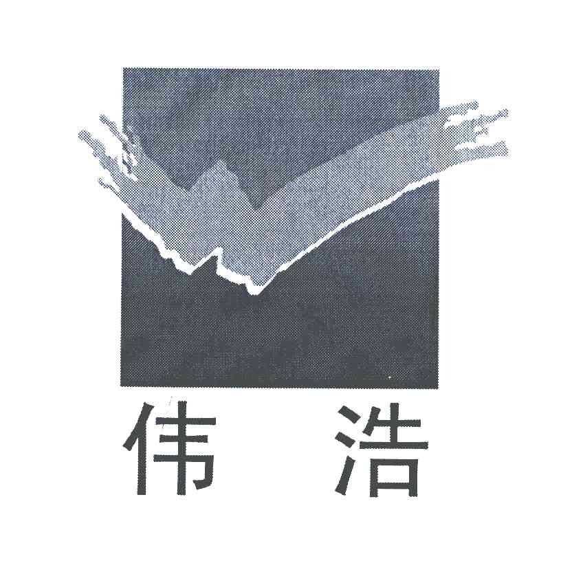伟浩