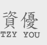 资优   TZY YOU