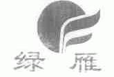 绿雁