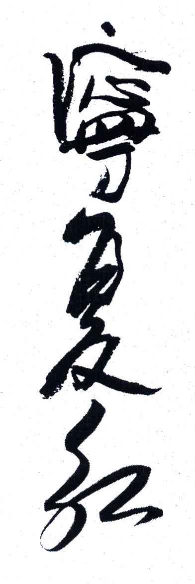 宁复红