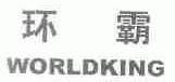 环霸;WORLDKING