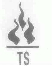 TS