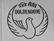 金鸽    GOLDEN DOVE