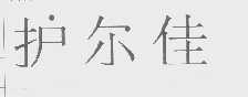 护尔佳