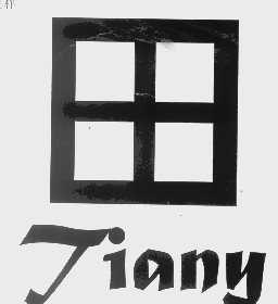 田   TIANY