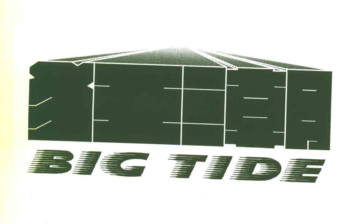 狂潮;BIG TIDE