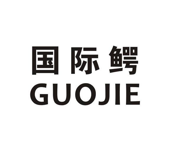 国际鳄