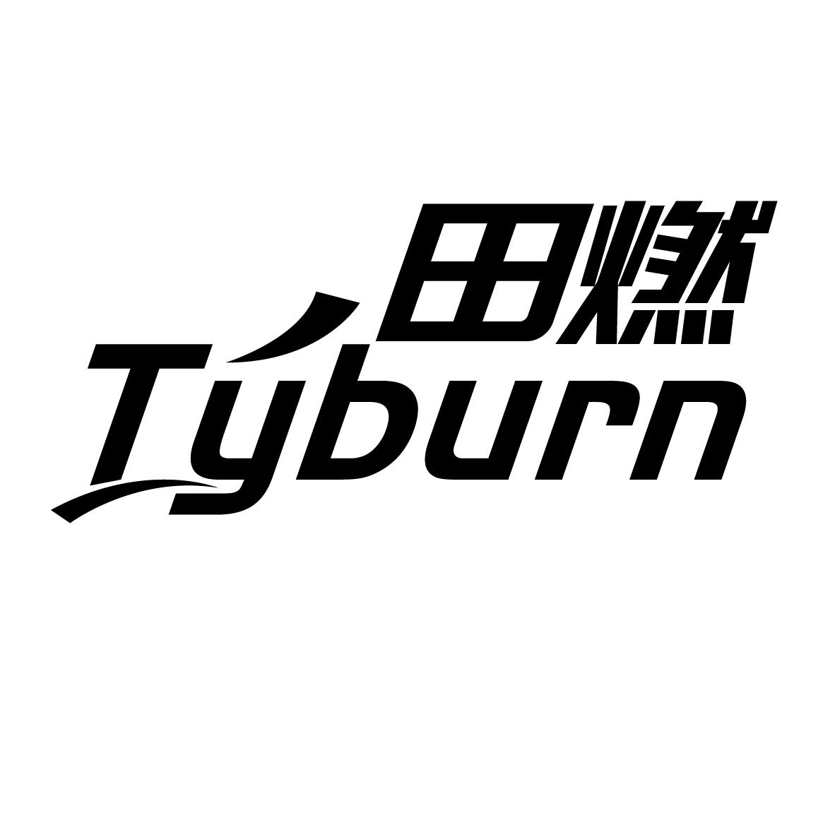 田燃 TYBURN