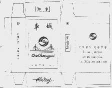 车城