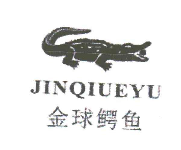 金球鳄鱼及图形