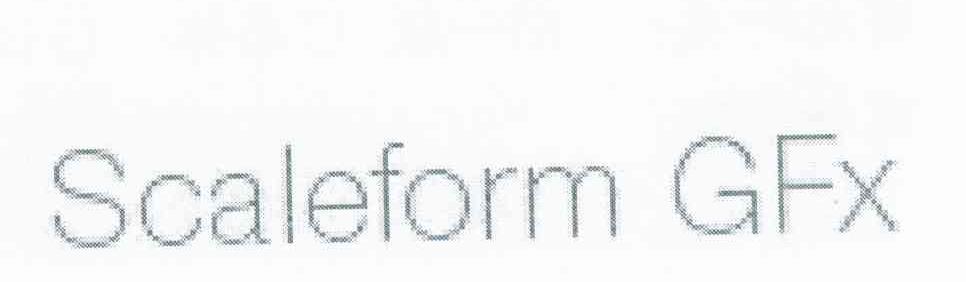 SCALEFORM GFX