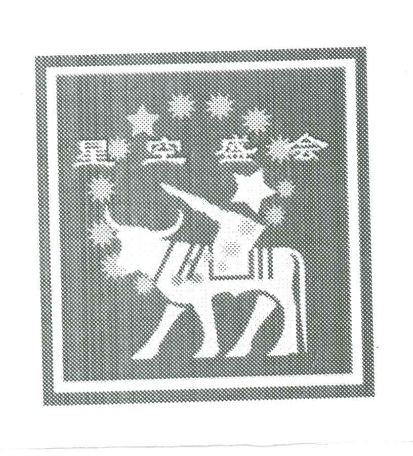 星空盛会
