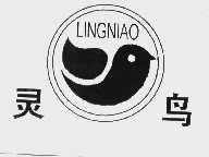 灵鸟