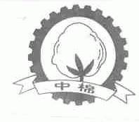 中棉