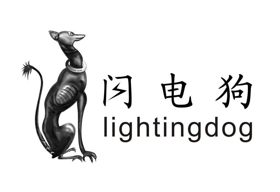 闪电狗 LIGHTINGDOG