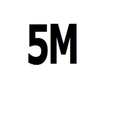 5 M