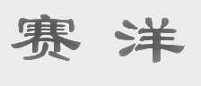 赛洋