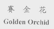 赛金花   GOLDEN ORCHID