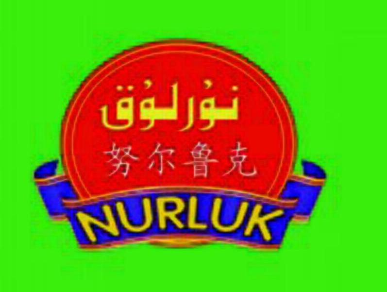 努尔鲁克 NURLUK