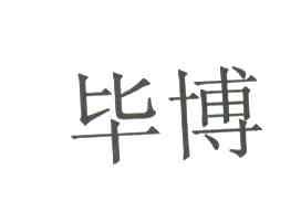 毕博