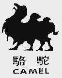 骆驼  CAMEL