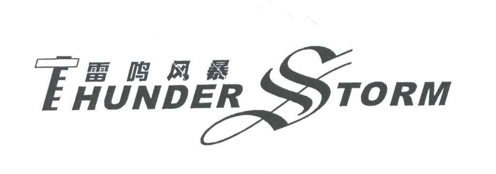 雷鸣风暴THUNDER STORM