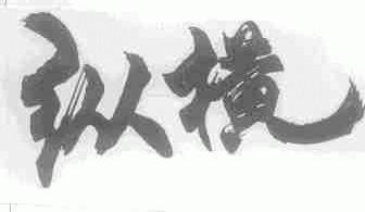 纵横
