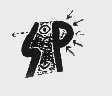 SP