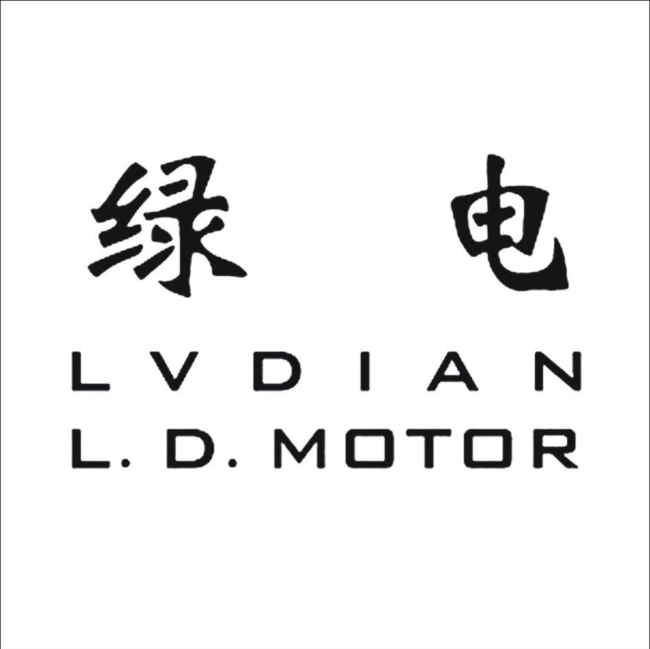 绿电 LVDIAN LDMOTOR