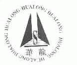 华龙