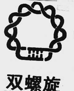双螺旋