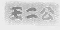 王二公