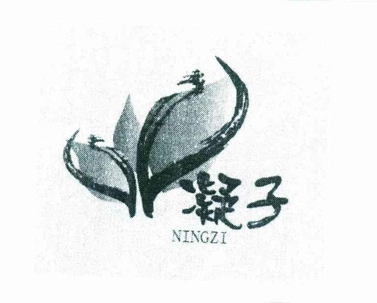 凝子