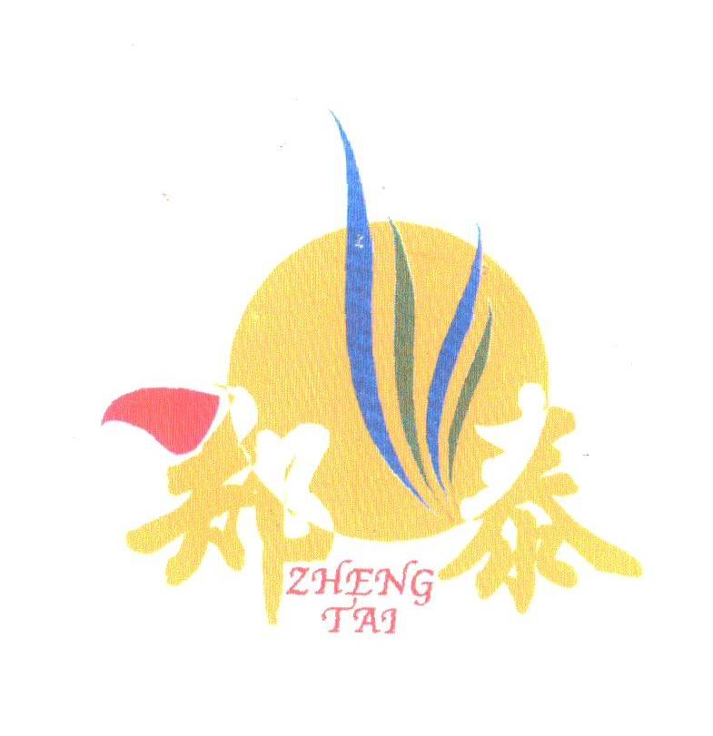 郑泰