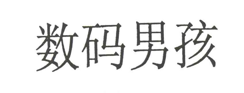 数码男孩