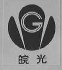 皖光