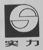 实力