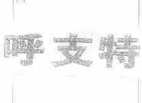 呼支特