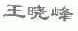 王晓峰