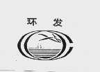 环发