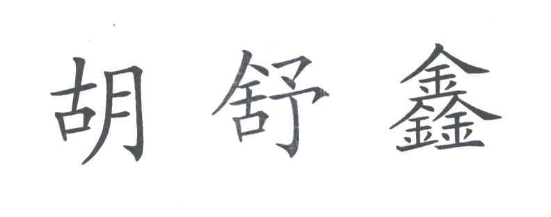 胡舒鑫