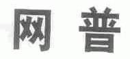 网普
