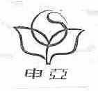 申亚