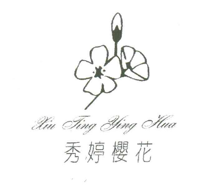 秀婷樱花;XIU TING YING HUA