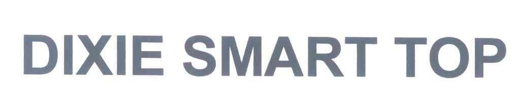 DIXIE SMART TOP