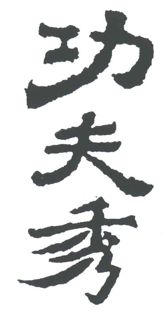 功夫秀;