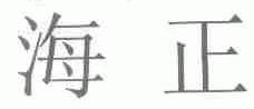 海正