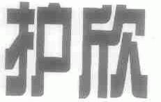 护欣