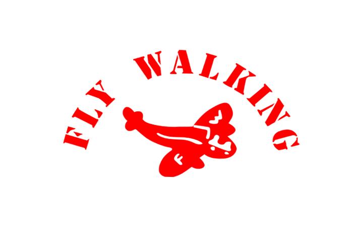 FLY WALKING