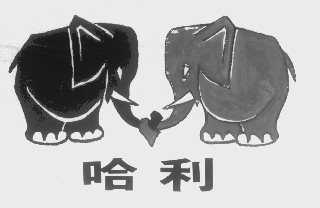 哈利